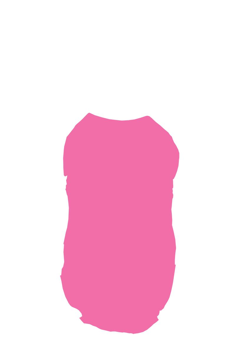 Garment Color