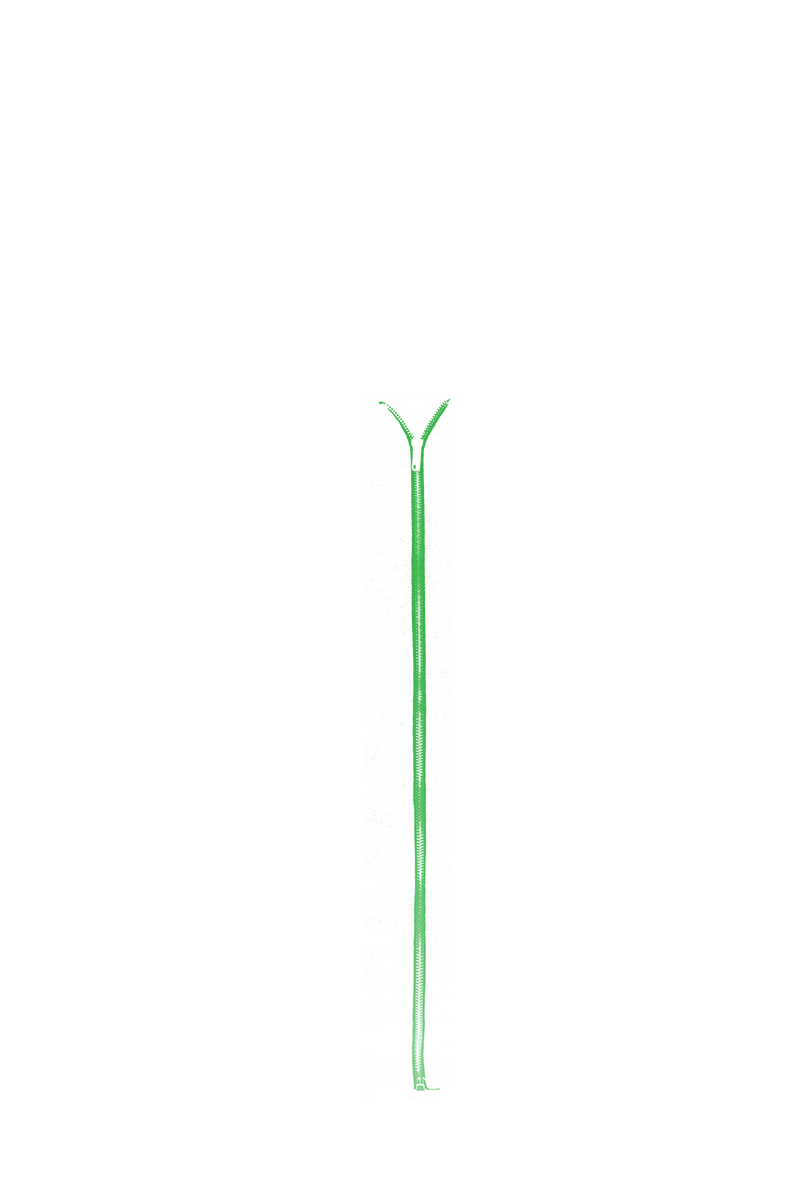 Zipper Color